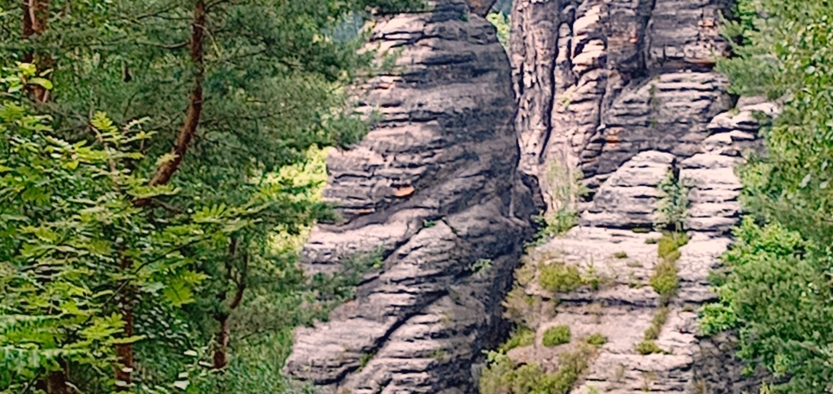 Männerwandertag im Bielatal 2026